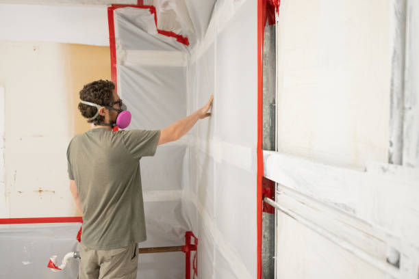 Best Residential Mold Inspection & Testing  in Bisbee, AZ