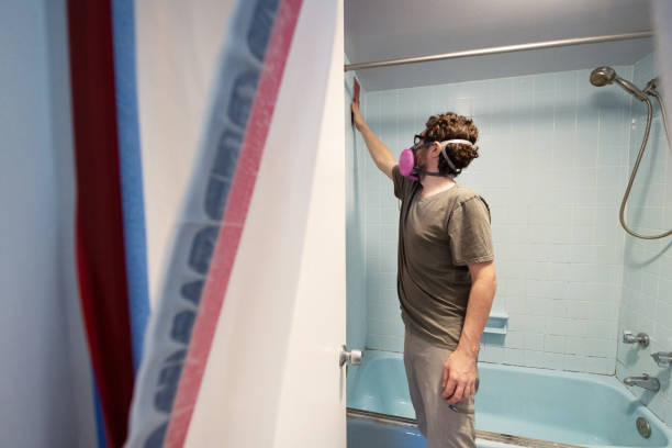 Best Dehumidification Services  in Bisbee, AZ